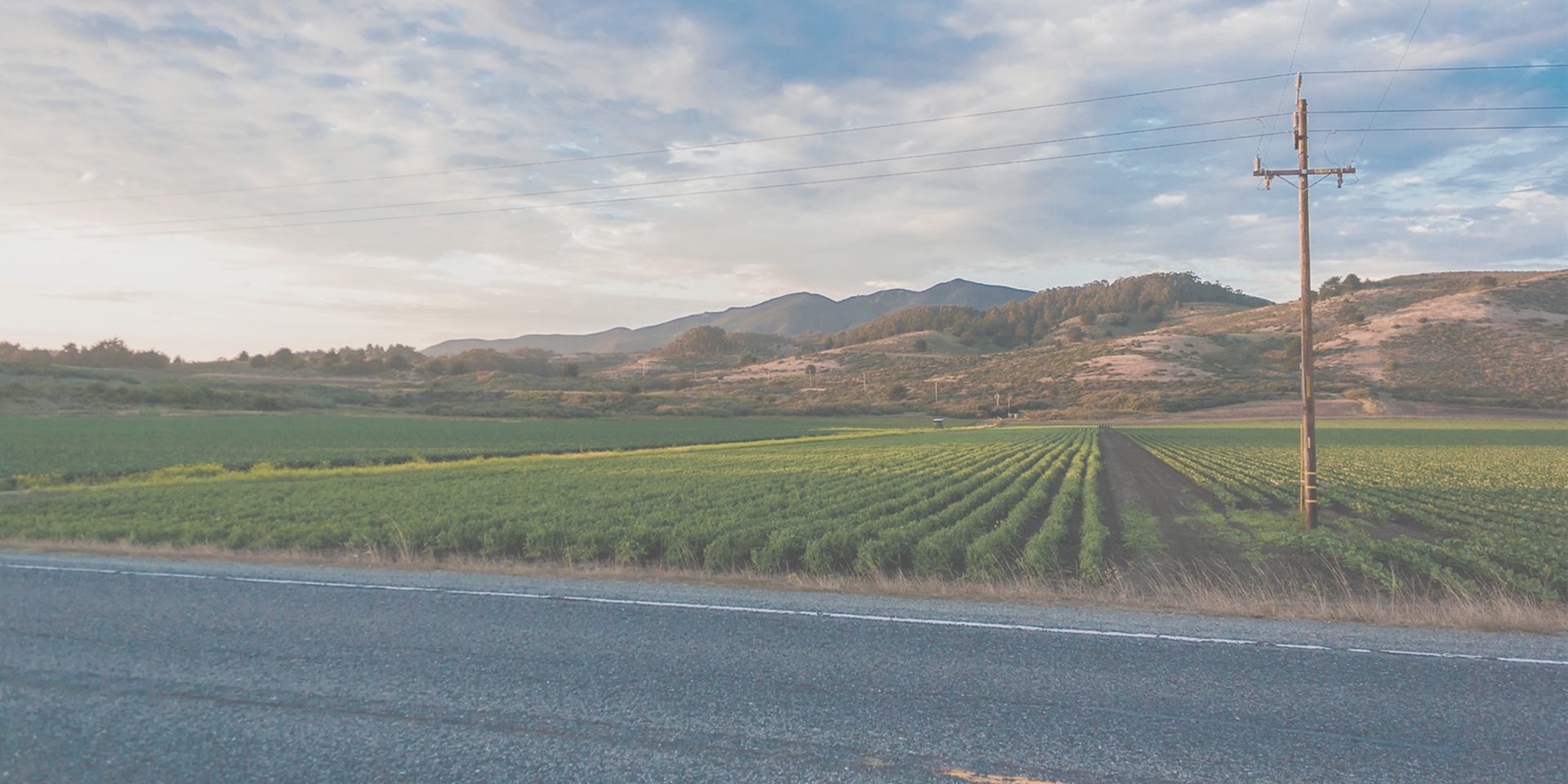 Power line corridor through farmland and hills